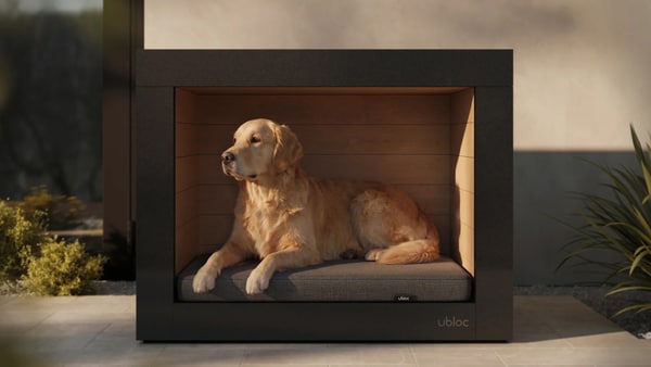 Architecturally-Influenced Dog Houses