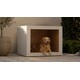 Architecturally-Influenced Dog Houses Image 3