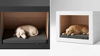 Architecturally-Influenced Dog Houses Image 4