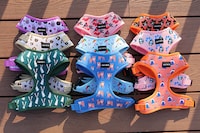 Comfort-Focused Pet Harness Collections