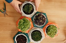 Self-Watering Plant Pots