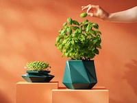 Self-Watering Plant Pots Image 3