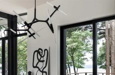 Cantilevered Forest Homes