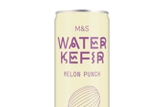 Lightly Fermented Sparkling Drinks