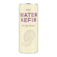 Lightly Fermented Sparkling Drinks Image 1
