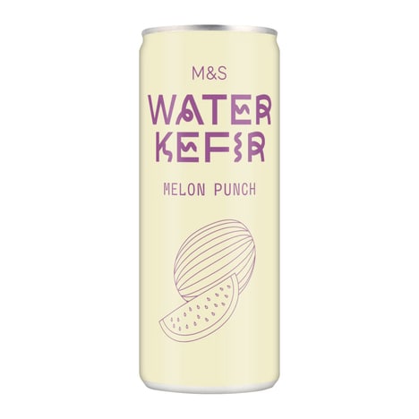 Lightly Fermented Sparkling Drinks