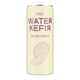 Lightly Fermented Sparkling Drinks Image 1