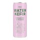 Lightly Fermented Sparkling Drinks Image 2