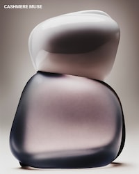 Storytelling Fragrance Trios Image 3