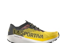 Mountain Running Lines