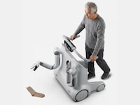 Robotic Mobility Companions