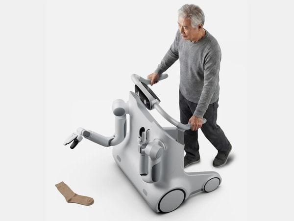 Robotic Mobility Companions