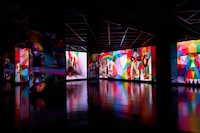 Immersive Digital Exhibitions Image 3