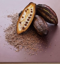 Cocoa Shell Flooring Image 2