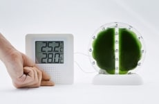 Algae-Powered Biocells