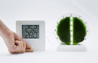 Algae-Powered Biocells