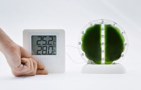 Algae-Powered Biocells