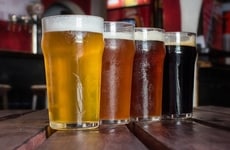 Japaneese Yeast Strains
