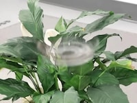 Miniature Low-Visibility Drones Image 2