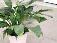Miniature Low-Visibility Drones Image 3