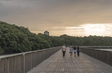 Environmentally Conscious Park Designs