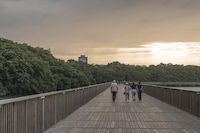 Environmentally Conscious Park Designs Image 1
