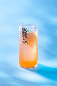 Zodiac Cocktail Collections Image 3