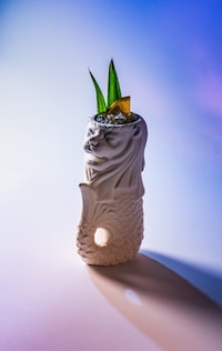 Zodiac Cocktail Collections Image 5