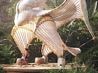 Bamboo Swan Pavilions Image 2