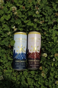 Functional Yerba Beverages