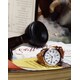 Cinematic Watch Campaigns Image 3