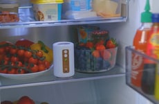 Spoilage Reduction Refrigerator Purifiers