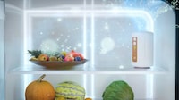 Spoilage Reduction Refrigerator Purifiers Image 6