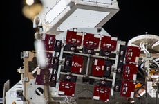 Radiation-Treated Grape Seeds