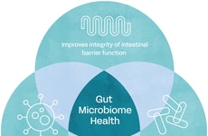 Oat-Derived Postbiotic Ingredients