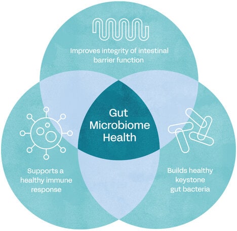 Oat-Derived Postbiotic Ingredients