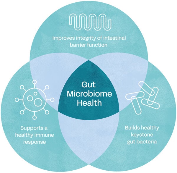 Oat-Derived Postbiotic Ingredients