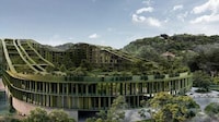 Forest-Compatible Vertical Neighborhood