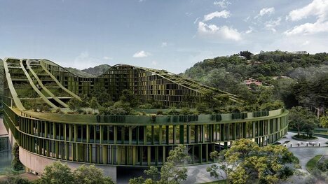 Forest-Compatible Vertical Neighborhood