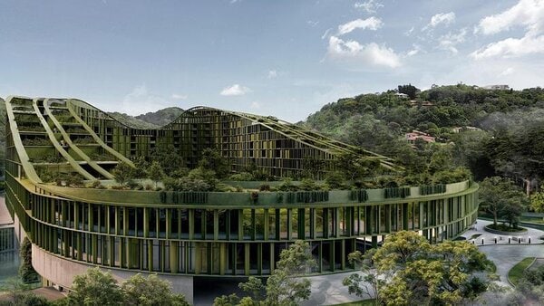 Forest-Compatible Vertical Neighborhood