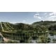 Forest-Compatible Vertical Neighborhood Image 1