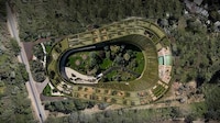 Forest-Compatible Vertical Neighborhood Image 2