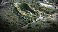 Forest-Compatible Vertical Neighborhood Image 3