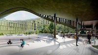 Forest-Compatible Vertical Neighborhood Image 4