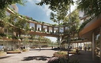 Biophilic Workplace Designs