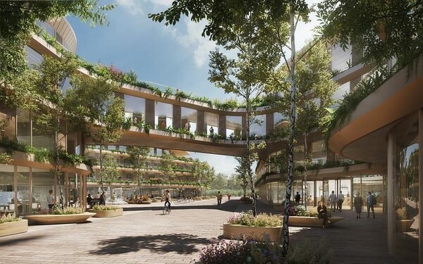 Biophilic Workplace Designs