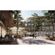 Biophilic Workplace Designs Image 2
