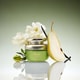 Accessible Fruity Floral Perfumes Image 2