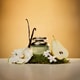 Accessible Fruity Floral Perfumes Image 3