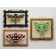 Artful Framed Moth Displays Image 2